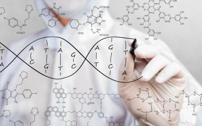 How Your Genes Make You Fat