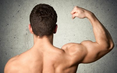 How to Select the Best Exercises for Optimal Muscle Growth